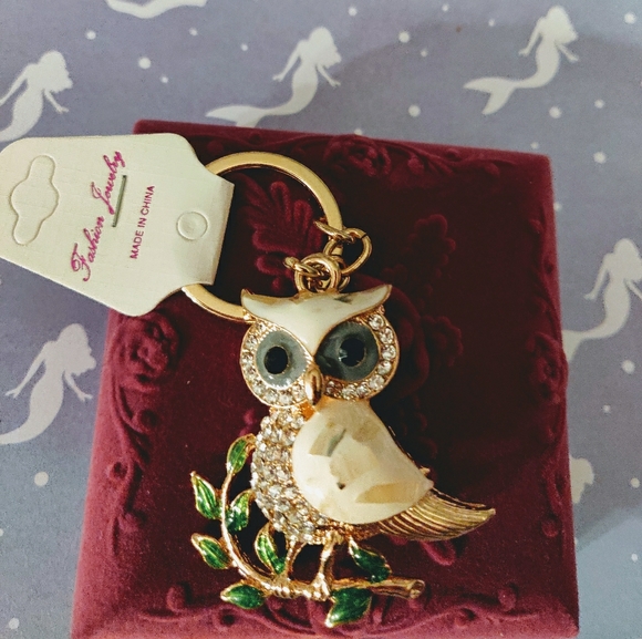 Accessories - 🦉 NWT Owl Fashion Keychain 🦉